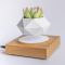 Магнітний левітаційний горщик для рослин HCNT Magnetic Levitating Pot M10-FP  Wood Grain (SIM10-FP)