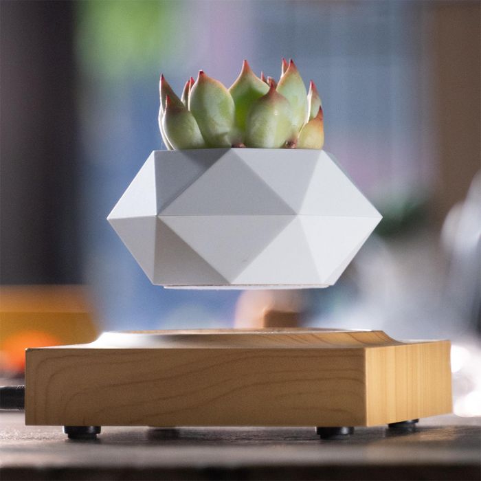 Магнітний левітаційний горщик для рослин HCNT Magnetic Levitating Pot M10-FP  Wood Grain (SIM10-FP)