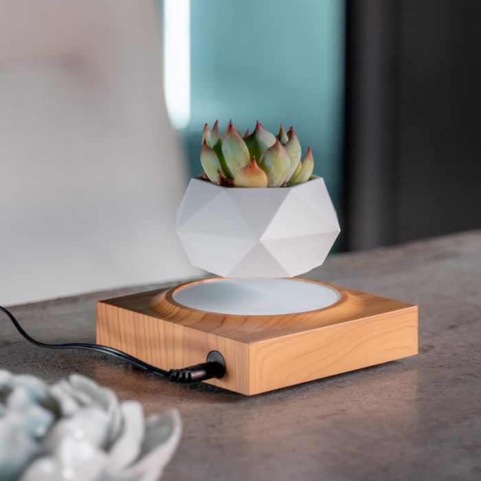 Магнітний левітаційний горщик для рослин HCNT Magnetic Levitating Pot M10-FP  Wood Grain (SIM10-FP)