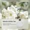 Ароматизатор для аромадиффузора Essential oil White Tea by The Westin 50мл (XXJ007-Whi)