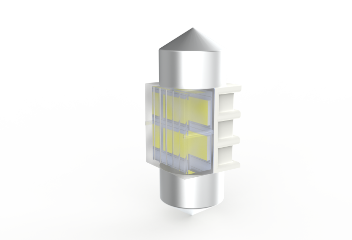 Комплект светодиодных ламп Infolight C5W-FS-31 (31mm)