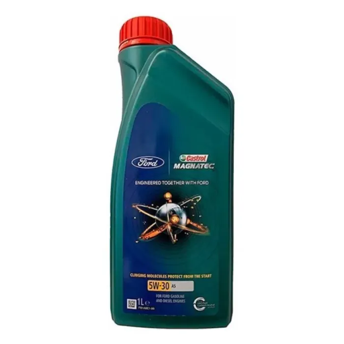 Castrol Magnatec Profeccional 5W30  A5
