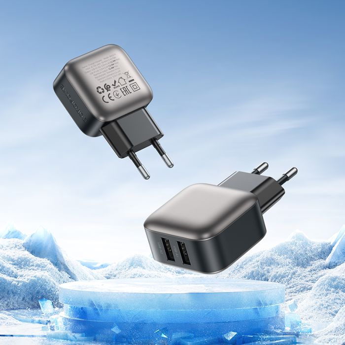 Мережевий зарядний пристрій BOROFONE BAS51A Absolute dual-port charger Black (6941991116100)