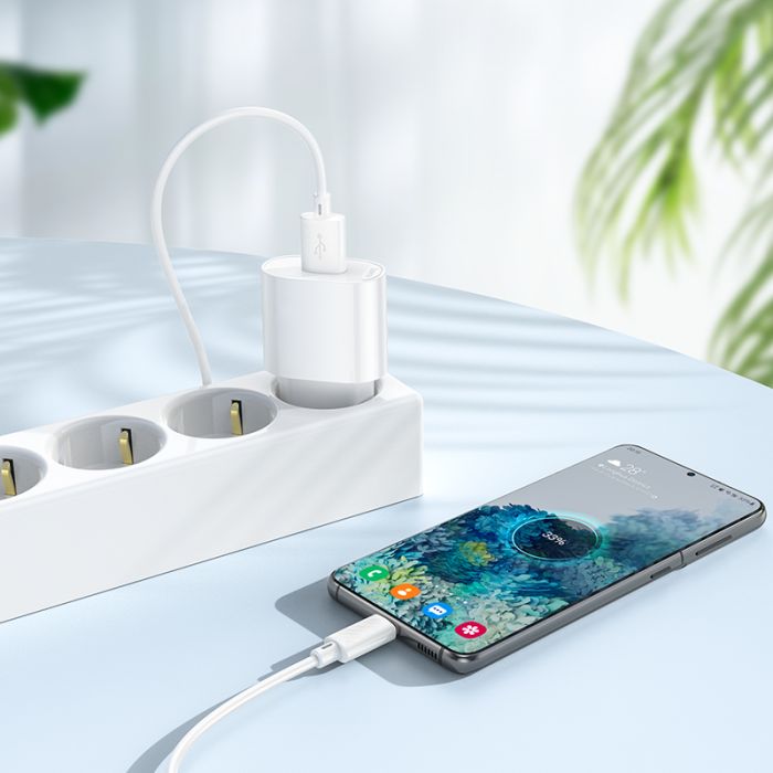 Мережевий зарядний пристрій з кабелем HOCO C109A(10.5W) Fighter single port charger set(Micro) White (6942007656603)