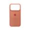 Чохол для смартфона Silicone Full Case AA Open Cam for Apple iPhone 17 Pro 37,Grapefruit (FullOpeAAi17P-37)