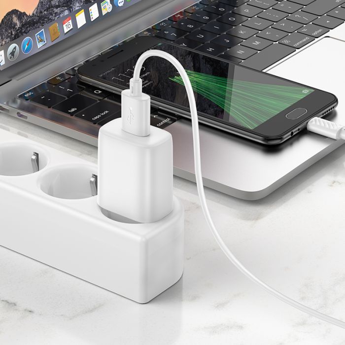 Мережевий зарядний пристрій з кабелем HOCO C134A Solid single-port charger set(Micro) White (6942007621342)