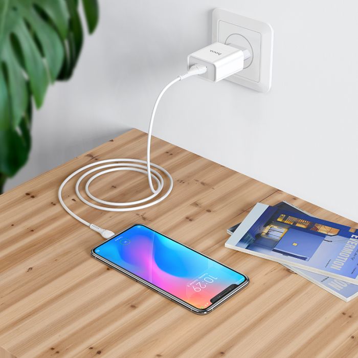 Мережевий зарядний пристрій з кабелем HOCO C81A Asombroso single port charger set(Type-C) White (6931474727961)