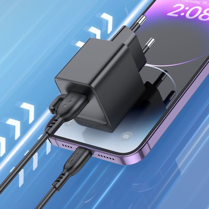 Мережевий зарядний пристрій з кабелем BOROFONE BAS11A Erudite single port charger set(iP) Black (6941991104619)