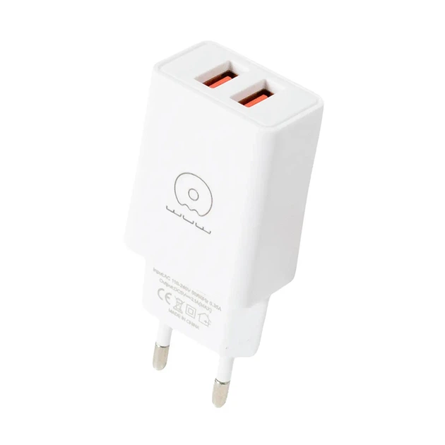 Мережевий зарядний пристрій з кабелем WUW-T55 2USB/3.1A set micro (6972573333974)