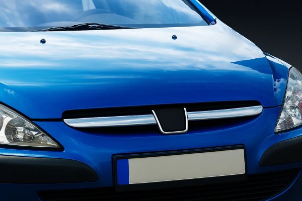 Хромированные накладки на решетку радиатора (2001-2005, 2 шт, нерж сталь) для Peugeot 307