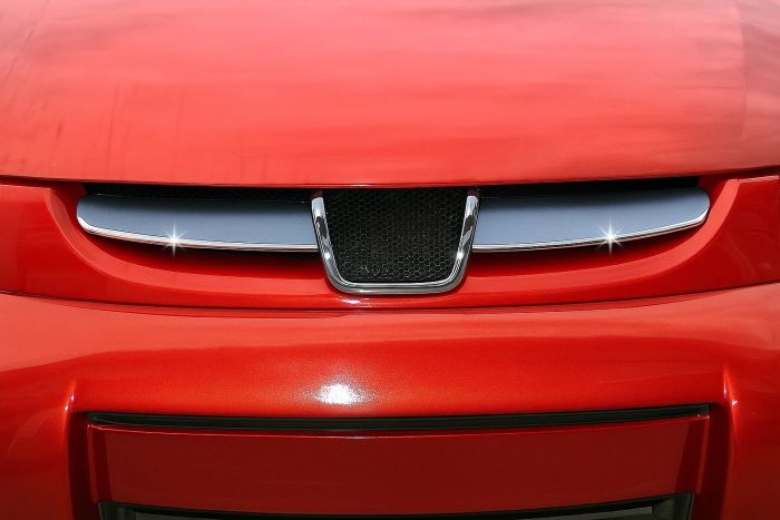 Хром накладки на решетку радиатора 2004-2008 (2 шт., нержавейка) OmsaLine - Итальянская Нержавейка для Peugeot Partner