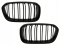 Решетка радиатора (ноздри) BMW F20 / F21 (15-18 г.в.)