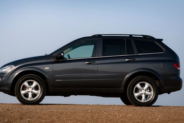 Наружные молдинги окон нержавейка (6 шт) для SsangYong Kyron 2005-2014 гг