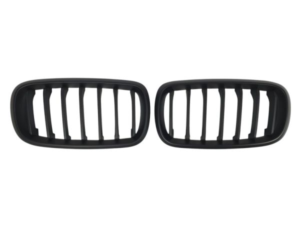 Низдрый Черный Мат на BMW X5 F15 2013-2018 года