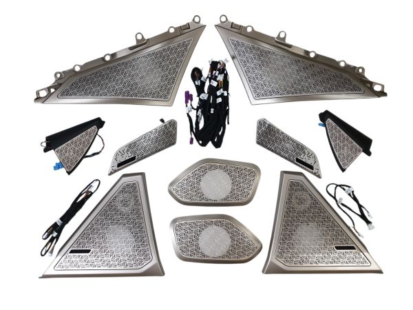 Сетки на динамики FULL SET Gold на BMW 5 Series G60/G61 2023-2025 года