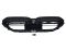 Ноздри Черный глянец ( M-Look ) Iconic glow на BMW 5 Series G60 / G61 2023-2025 года