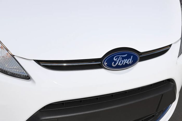Накладка на решетку хром (2 шт., нерж. сталь) для Ford Fiesta 2008-2017 гг