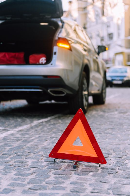 Набір автомобіліста Mitsubishi легковий чорний 01-069-Л