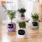 Інтерактивний розумний горщик для рослин Ivy Smart Planter Tuya AI, Purple (ISPTAPR)