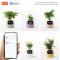 Інтерактивний розумний горщик для рослин Ivy Smart Planter Tuya AI, Purple (ISPTAPR)