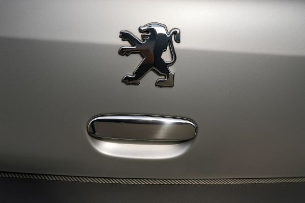 Хром накладка на ручку багажника (нерж сталь) для Peugeot 307 2001-2008 гг