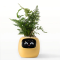 Інтерактивний розумний горщик для рослин Ivy Smart Planter Tuya AI, Yellow (ISPTAY)