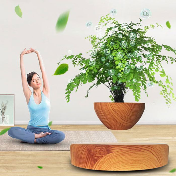 Магнітний левітаційний горщик для рослин HCNT Magnetic Levitating Pot M10-PS Wood Grain (SIM10-PS)