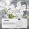 Ароматизатор для аромадиффузора Essential oil of Hilton 50мл (XXJ007-Hil)
