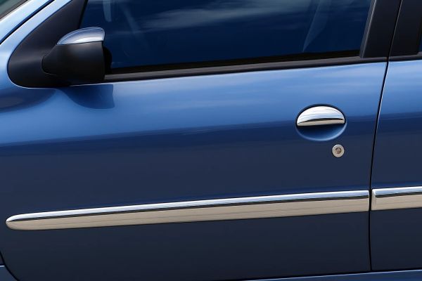 Дверные Молдинги Нержавеющая Сталь (4 шт) для Peugeot 206 1998-2024 гг