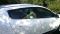 Нижние молдинги окон (HB, 6 шт., нержавейка) для Renault Megane III 2009-2016 гг