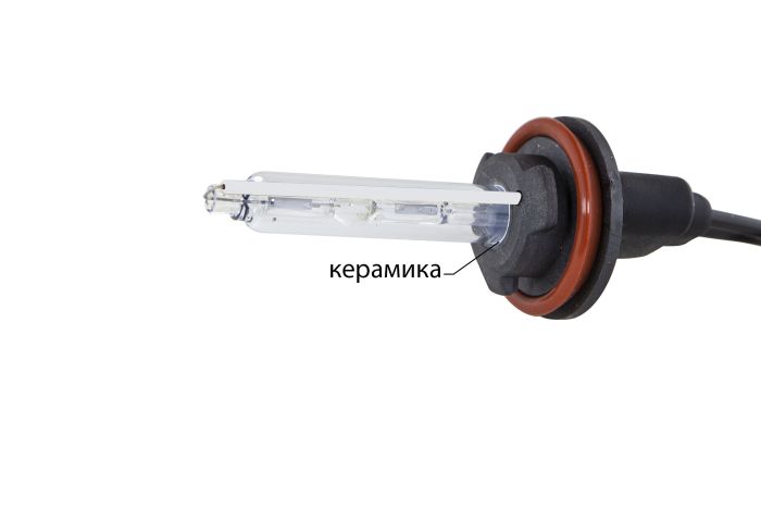 Ксеноновая лампа Infolight H11 5000K +50%