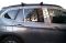 Накладки на дверные стойки из нержавеющей стали 6 шт. для BMW X1 E84 2009-2015 гг